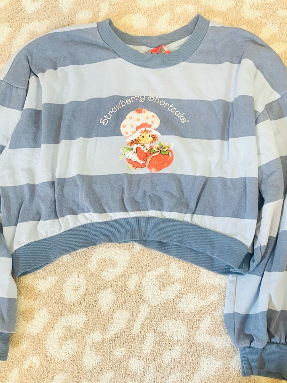 NWOT Strawberry Shortcake Blue & White Striped Cropped Sweatshirt XXL Cute Kawai